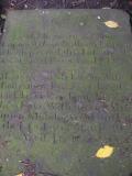 image of grave number 141494